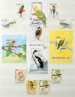 Madár motívum tétel sorokkal, blokkokkal, összefüggésekkel, 16 lapos, A/4-es berakóban