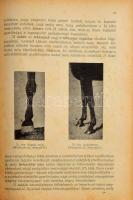 Döhrmann Henrik: Lótenyésztés I-II. köt. I. kötet: Külemtan és fajtaisme. II. köt.: A tenyésztés elm...