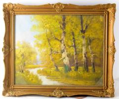 Szentgály Ferenc (XX. század): Táj, olaj, vászon, jelzett. Dekoratív, üvegezett, sérült fakeretben. 40×50 cm