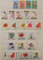 Virág motívum összeállítás 8 lapos, A/4-es Abria berakóban