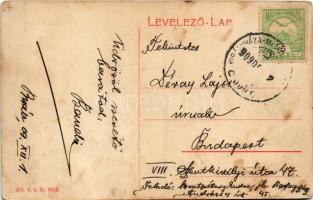 1909 Beregszász, Berehove; látkép, zsinagóga. 294. W.L. Bp. 6053. / general view with synagogue (fel...