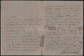 1891 Alsósztregovai és kiskelecsényi Madách Aladár József Imre (1848-1908.) költő, író, műkritikus a...