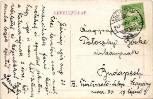 1913 Sárisáp, Fő utca. W.L. Bp. 3761. (EK)