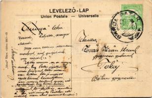 Sárospatak, várkert, Rákóczi vár. W.L. Bp. 5600. Trócsányi B. kiadása (b)