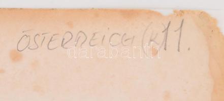 1854 Österreichischer Kaiserstaat / Az Osztrák Császárság térképe (rajta Magyarországgal), litográfi...