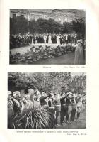 Székesfehérvár ünnepi éve: 1938. Vitéz Láng István összegyűjtött és feldolgozott adatai alapján írta vitéz Szarka Géza. Székesfehérvár, (1939). Székesfehérvár szabad királyi város közönsége (Csitáry G. Jenő ny.) 192 p. + 16 t. (kétoldalas). Egyetlen kiadás. Székesfehérvár, a koronázó város 1932-ben határozta el, hogy egész éves ünnepségsorozatot rendez Szent István halálának 900. évfordulójának évében. Az 1938. évi ünnepségsorozatra kulturális intézmények egész sora készült el, a Hóman Bálint bevezetőjével induló könyv az ünnepi év beszédeit közli és eseményeit elemzi. A címlapon és a belív néhány oldalán enyhe foltosság, az első ívek levelein apró gyűröttség. Fűzve, sérült, javított gerincű, a Szent István-emlékérem dombornyomású plakettjével illusztrált, kissé foltos kiadói borítóban.