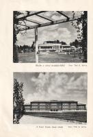 Székesfehérvár ünnepi éve: 1938. Vitéz Láng István összegyűjtött és feldolgozott adatai alapján írta...