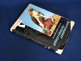 Homoki-Nagy István: 
Gyöngyvirágtól lombhullásig. Színes filmmel vadmadarak után. (Egy filmrendező ...