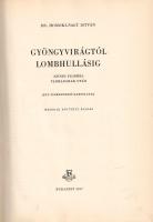 Homoki-Nagy István: 
Gyöngyvirágtól lombhullásig. Színes filmmel vadmadarak után. (Egy filmrendező ...