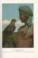 Homoki-Nagy István: 
Gyöngyvirágtól lombhullásig. Színes filmmel vadmadarak után. (Egy filmrendező ...