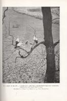 Homoki-Nagy István: 
Gyöngyvirágtól lombhullásig. Színes filmmel vadmadarak után. (Egy filmrendező ...