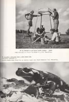 Homoki-Nagy István: 
Gyöngyvirágtól lombhullásig. Színes filmmel vadmadarak után. (Egy filmrendező ...