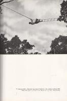 Homoki-Nagy István: 
Gyöngyvirágtól lombhullásig. Színes filmmel vadmadarak után. (Egy filmrendező ...