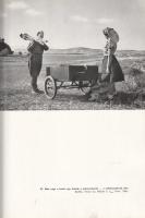 Homoki-Nagy István: 
Gyöngyvirágtól lombhullásig. Színes filmmel vadmadarak után. (Egy filmrendező ...