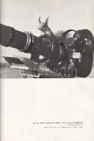 Homoki-Nagy István: 
Gyöngyvirágtól lombhullásig. Színes filmmel vadmadarak után. (Egy filmrendező ...