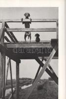 Homoki-Nagy István: 
Gyöngyvirágtól lombhullásig. Színes filmmel vadmadarak után. (Egy filmrendező ...