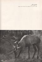 Homoki-Nagy István: 
Gyöngyvirágtól lombhullásig. Színes filmmel vadmadarak után. (Egy filmrendező ...