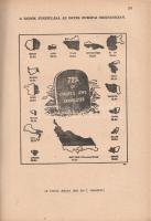 Sós Endre: 
Európai fasizmus és antiszemitizmus.
(Budapest), [1948]. Magyar Téka (Máté Ernő ny.) 3...