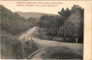 Munkács, Mukacheve, Mukachevo, Mukacevo; Karpaty, Karpackie lasy przed Munkacsem. Arnold &amp; Schlag / road, men with bicycles (cut)