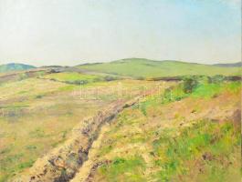 Sárdy Brutus (1892-1970): Dombos táj. Olaj, vászon, jelzés nélkül, vakráma nélkül, 42x54 cm