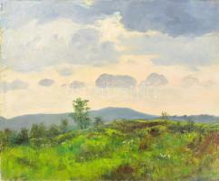 Sárdy Brutus (1892-1970): Felhős táj. Olaj, vászon, jelzés nélkül, vakráma nélkül, 42x56,5 cm