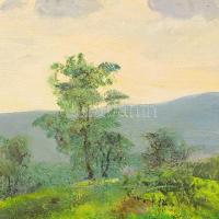 Sárdy Brutus (1892-1970): Felhős táj. Olaj, vászon, jelzés nélkül, vakráma nélkül, 42x56,5 cm