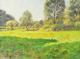Sárdy Brutus (1892-1970): Napos rét. Olaj, vászon, jelzés nélkül, vakráma nélkül, 40,5x54 cm