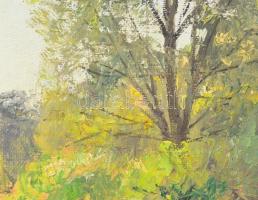 Sárdy Brutus (1892-1970): Napos rét. Olaj, vászon, jelzés nélkül, vakráma nélkül, 40,5x54 cm