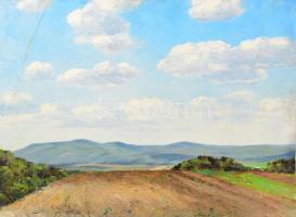 Sárdy Brutus (1892-1970): Hegyvidék. Olaj, vászon, jelzés nélkül, vakráma nélkül, 41,5x55 cm