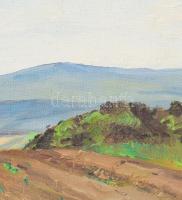 Sárdy Brutus (1892-1970): Hegyvidék. Olaj, vászon, jelzés nélkül, vakráma nélkül, 41,5x55 cm