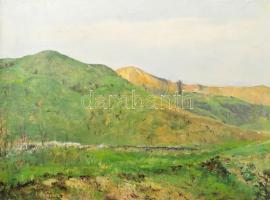 Sárdy Brutus (1892-1970): Hegyvidéki táj. Olaj, vászon, jelzés nélkül, vakráma nélkül, 42x57 cm