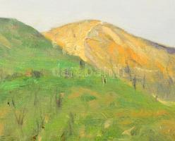 Sárdy Brutus (1892-1970): Hegyvidéki táj. Olaj, vászon, jelzés nélkül, vakráma nélkül, 42x57 cm