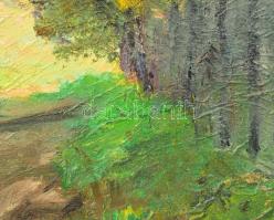 Sárdy Brutus (1892-1970): Napfényes táj. Olaj, vászon, jelzés nélkül, vakráma nélkül, 42x57 cm