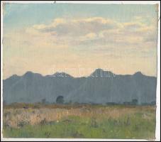 Sárdy Brutus (1892-1970): Hegyvidéki táj. Olaj, vászon, jelzés nélkül, vakráma nélkül, 20,5x23,5 cm
