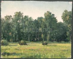 Sárdy Brutus (1892-1970): Napfényes erdőszéle. Olaj, vászon, jelzés nélkül, vakráma nélkül, 21,5x26 cm