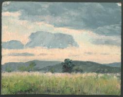 Sárdy Brutus (1892-1970): Napfényes erdőszéle. Olaj, vászon, jelzés nélkül, vakráma nélkül, 24,5x31,5 cm