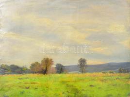 Sárdy Brutus (1892-1970): Hangulatos táj. Olaj, vászon, jelzés nélkül, vakráma nélkül, 28x38 cm