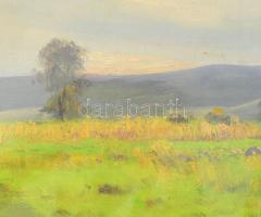 Sárdy Brutus (1892-1970): Hangulatos táj. Olaj, vászon, jelzés nélkül, vakráma nélkül, 28x38 cm