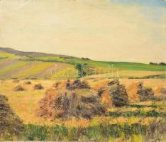 Sárdy Brutus (1892-1970): Napfényes táj. Olaj, vászon, jelzés nélkül, vakráma nélkül, 33,5x39,5 cm