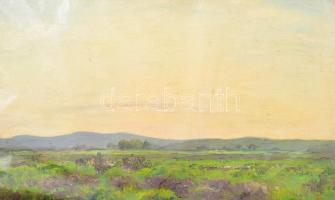 Sárdy Brutus (1892-1970): Hegyvidéki táj. Olaj, vászon, jelzés nélkül, vakráma nélkül, kartonra kasírozva, 25,5x39,5 cm