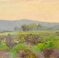 Sárdy Brutus (1892-1970): Hegyvidéki táj. Olaj, vászon, jelzés nélkül, vakráma nélkül, kartonra kasí...