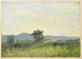 Sárdy Brutus (1892-1970): Hegyvidéki táj. Olaj, vászon, jelzés nélkül, vakráma nélkül, kartonra kasírozva, 26x36 cm