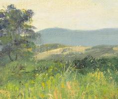 Sárdy Brutus (1892-1970): Hegyvidéki táj. Olaj, vászon, jelzés nélkül, vakráma nélkül, kartonra kasí...