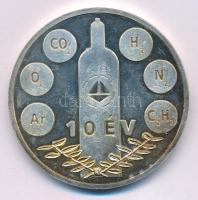 1999. "Messer Hungarogáz 1989-1999 / 10 év" kétoldalas ezüstözött fém emlékérem (50mm) T:A...