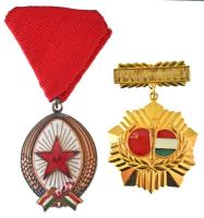DN (1970 k) "Magyar-Szovjet Baráti Társaság" műgyantás aranyozott jelvény + 1985. "A Munka Érdemrend bronz fokozata" zománcozott bronz kitüntetés mellszalagon T:AU,XF