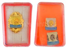 DN(~1980) "Hűséggel a nép egészségéért" 3xklf fokozatú rátétes, műgyantás orvosi törzsgárda jelvény műanyag tokban (30x22mm,18x16mm) T:AU