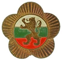 Bulgária 1960 k. "Címeres oroszlán" műgyantás bronz jelvény (33mm) T:XF Bulgaria around 1960 "Coat of arms Lion" synthetic resined bronze badge (33mm) C:XF