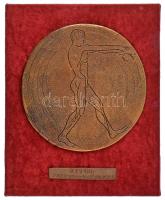 DN "Ugrójelenet egy bronz diszkoszra gravírozva" öntött bronz emlékérem (~170mm) vörös posztamensen (210x260mm) T:XF ND "Jumping scene engraved on a bronze discus" cast bronze medallion (~170mm) on a red postament (210x260mm) T:XF