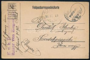 1915 Tábori posta levelezőlap "K.u.k. Infanterieregiment Ritter von Ziegler Nr. 60" + "TP / 60"