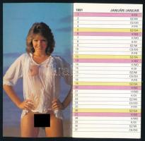 1991 Akt zsebnaptár 13 képpel